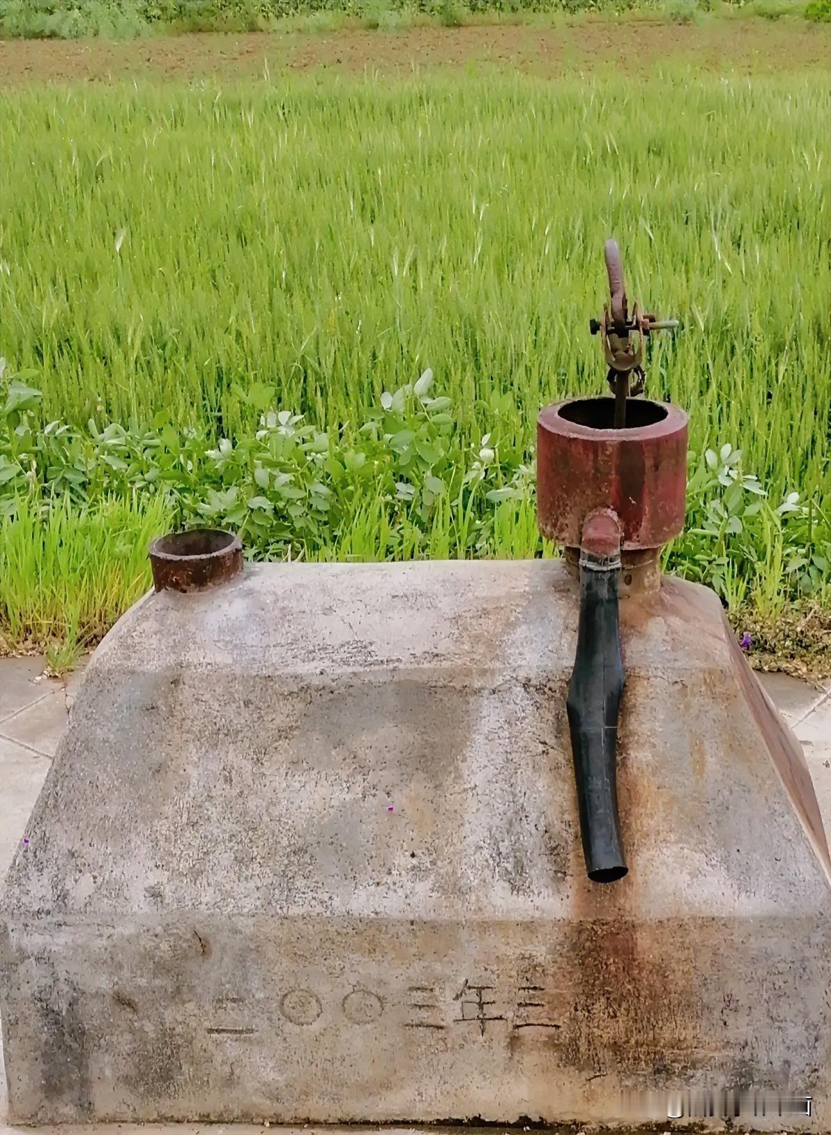 《2003年的压水井，己成为观赏景（李林摄于汉中城固）》