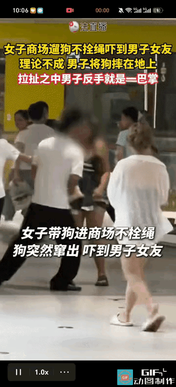 “吵翻了”！湖南长沙，一名女子在商场内遛小型宠物狗，全程没有佩戴牵引绳，小狗突然