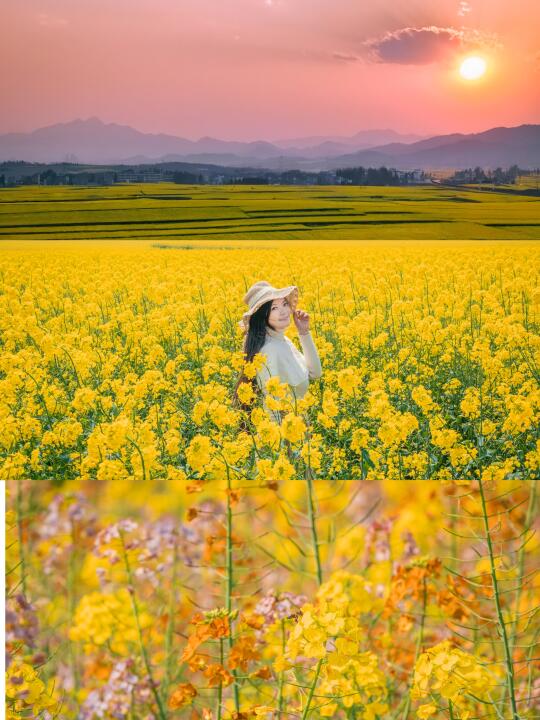 上春山｜罗平油菜花喊你准备好自驾一日游哦