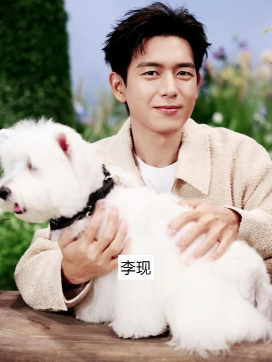 盘点5位男明星抱宠物合照曾舜晞｜檀健次张凌赫｜李现｜刘宇宁你觉得谁最帅？