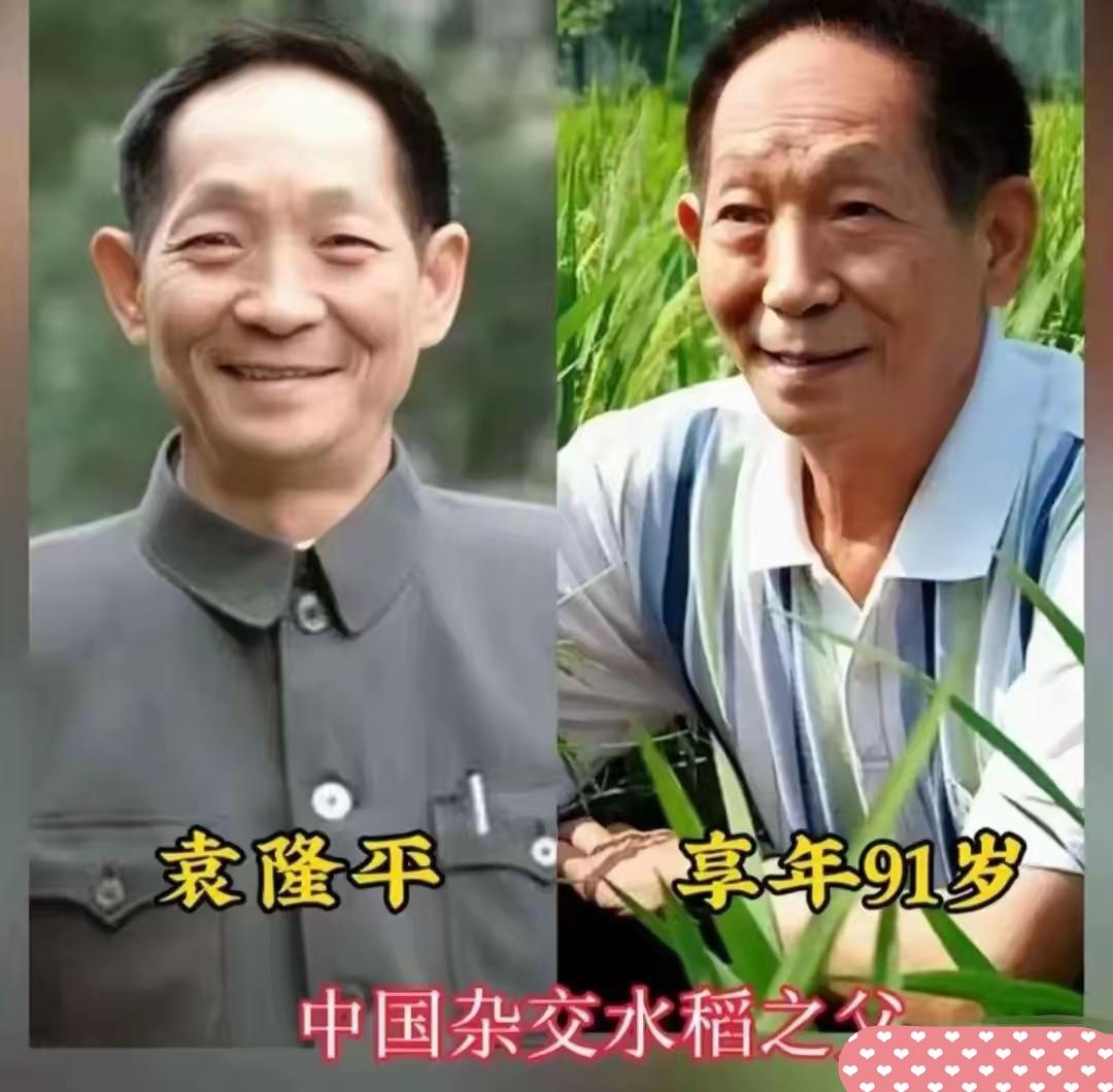 回望一代代大国脊梁，钱伟长、钱学森、于敏等先辈令人肃然起敬。风雨飘摇的艰苦岁月里