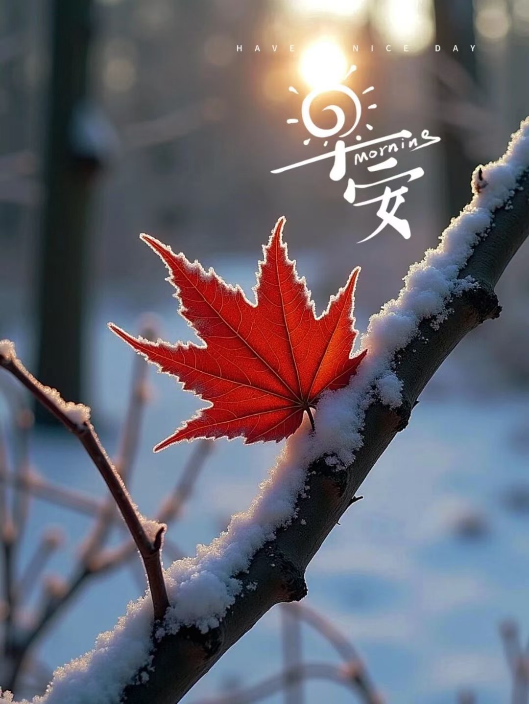 不求所有的日子，都泛着光，只愿每一天，都承载着健康，浸润着温暖。生活每天都是限量
