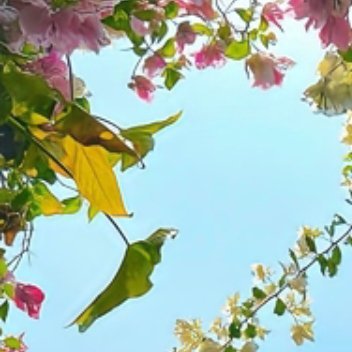 每日一善 每日一善 阳光信用 怀着对这个世界的好奇，与这个世界不断地碰撞，不断地