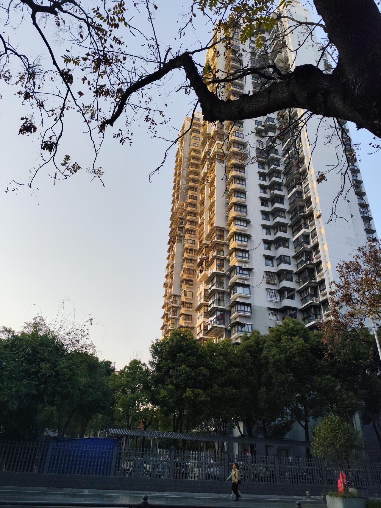 但这些人能够回国的资格鉴定标准，
家族永远记住家乡以及祖国的根，尤其是祖辈曾经在