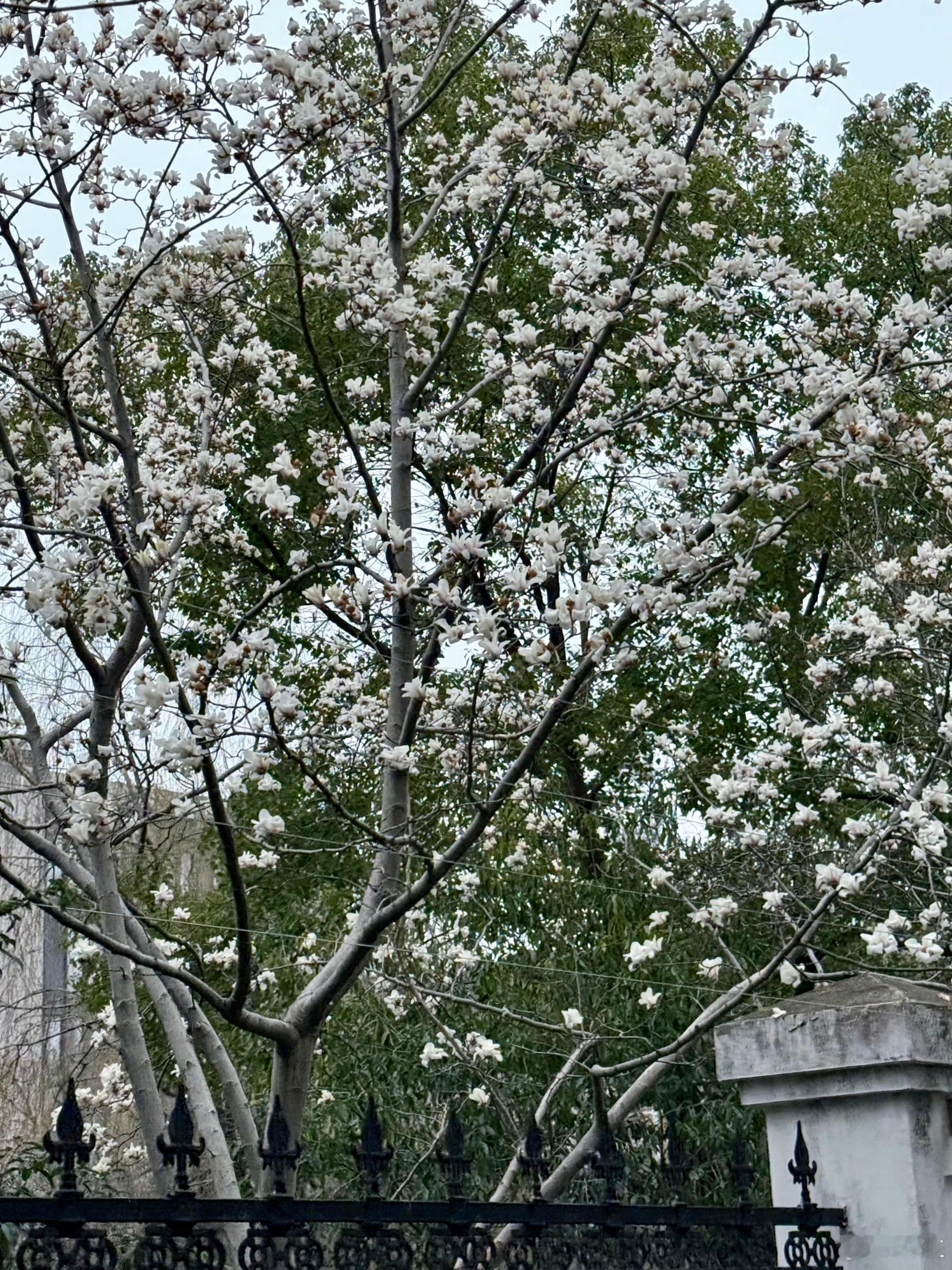 正向、健康的亲密关系，每个人都会挂在嘴边，表示自己的需求就是这样但深挖来聊，很多