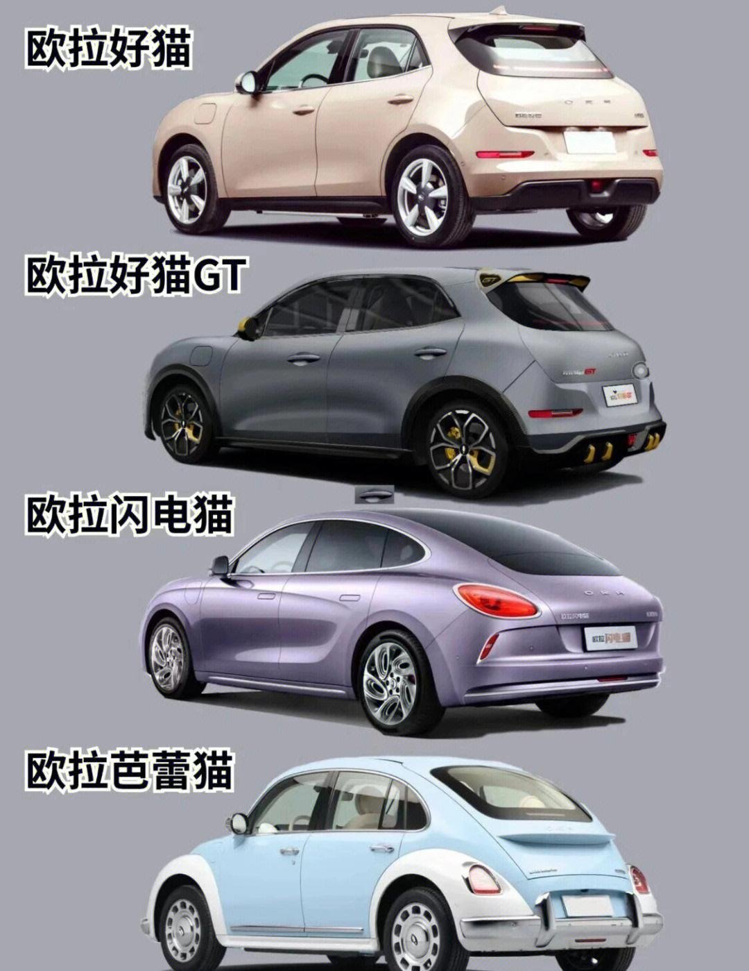 上一个正经尝试萤火虫生态位的是不是欧拉？明明还有很多人对欧拉的印象不错，为啥欧拉