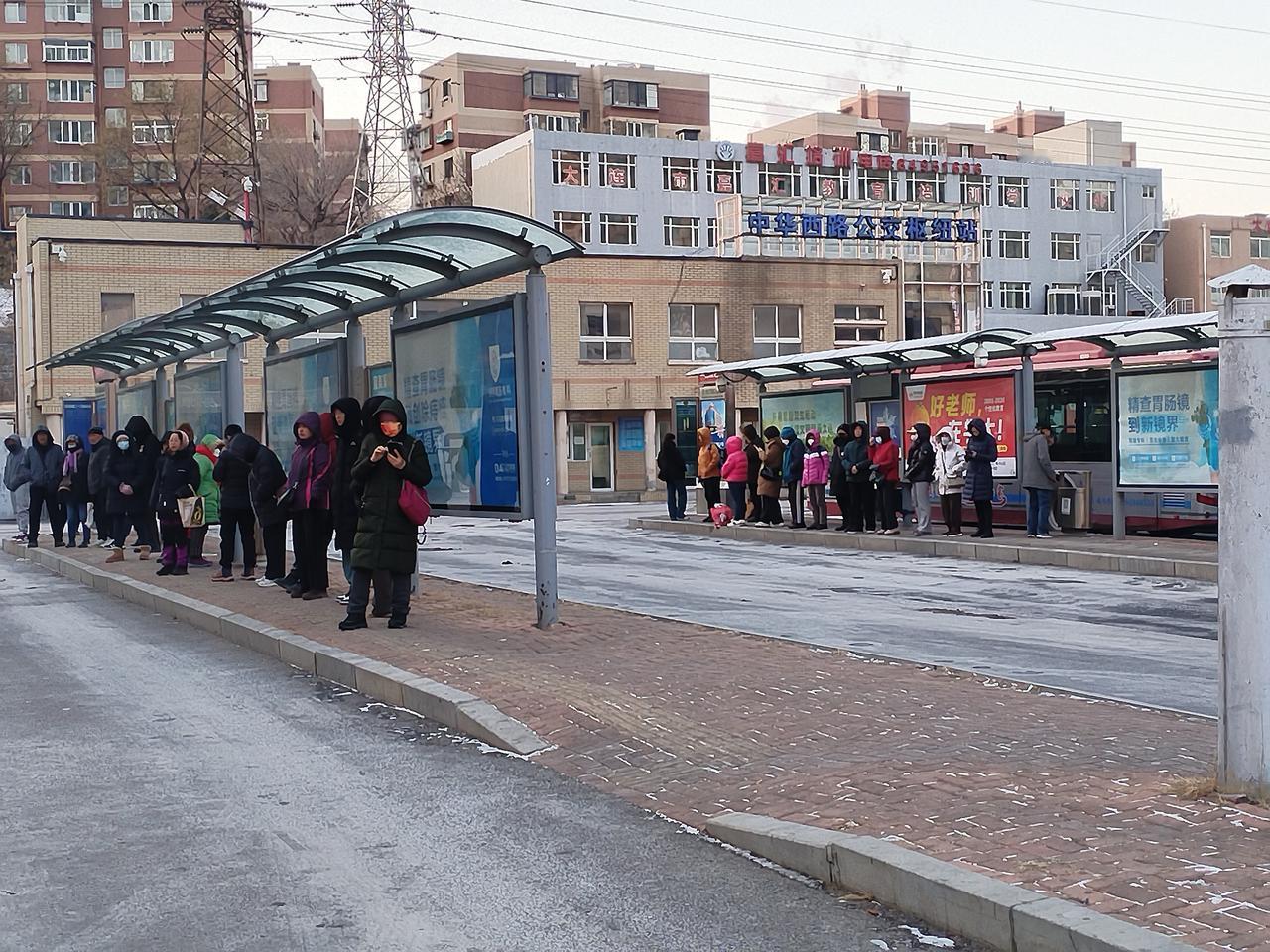 我爱我的家乡大连，更爱这些可亲可爱的大连人。
在寒冷的冬季，每每看到人们排着整齐