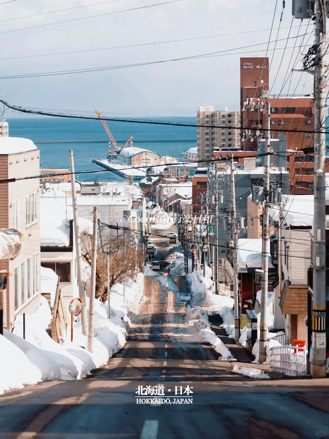 再见藤井树❄每一片雪花都是寄给小樽的情书