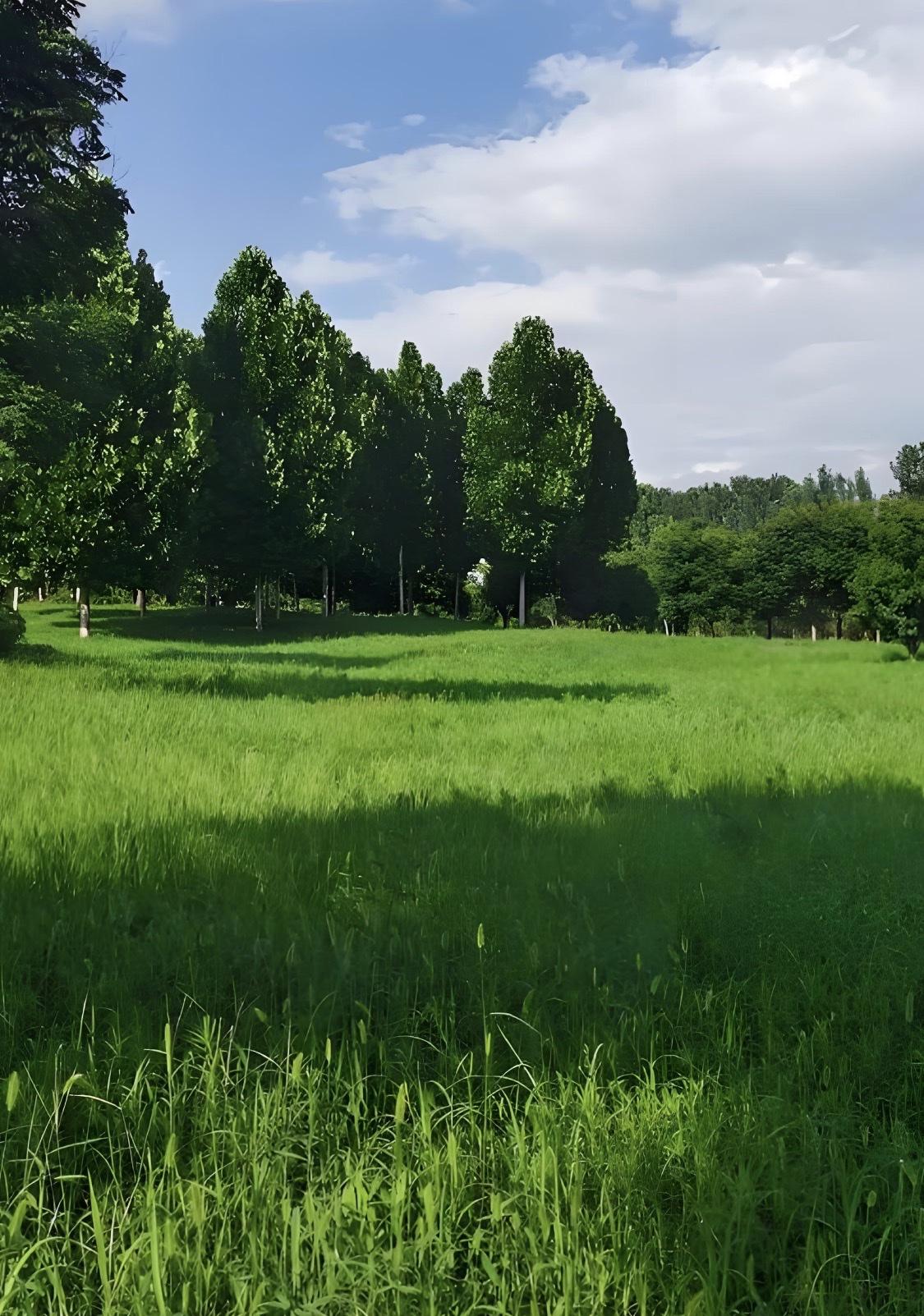 上联“细雨无声芳草绿”把细雨滋润芳草的清新画面展现在眼前。我对“和风有韵桃花红”