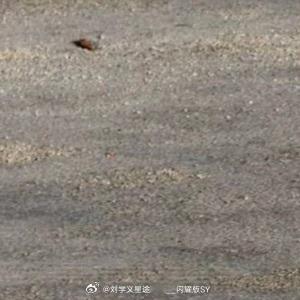 人生感悟 这个世界上唯一对所有人公平的就是:时间，你把它花在哪里，它就在哪里结果