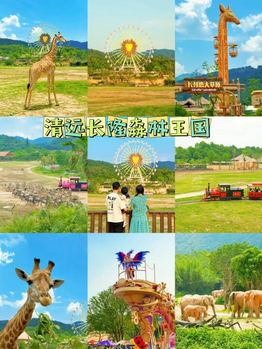 五一刚回！清远长隆节假日应该这么玩！