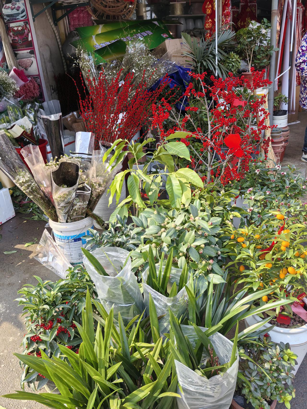 新年生活真是丰富多彩！在海南，新年时蓝天白云相伴，风景秀丽得让人陶醉。那天空湛蓝