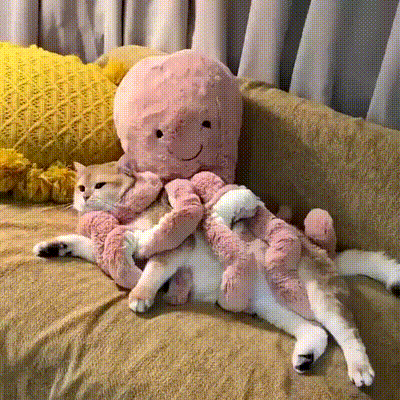 如果你喜欢温暖的抱抱，买这个吧，四倍的体验