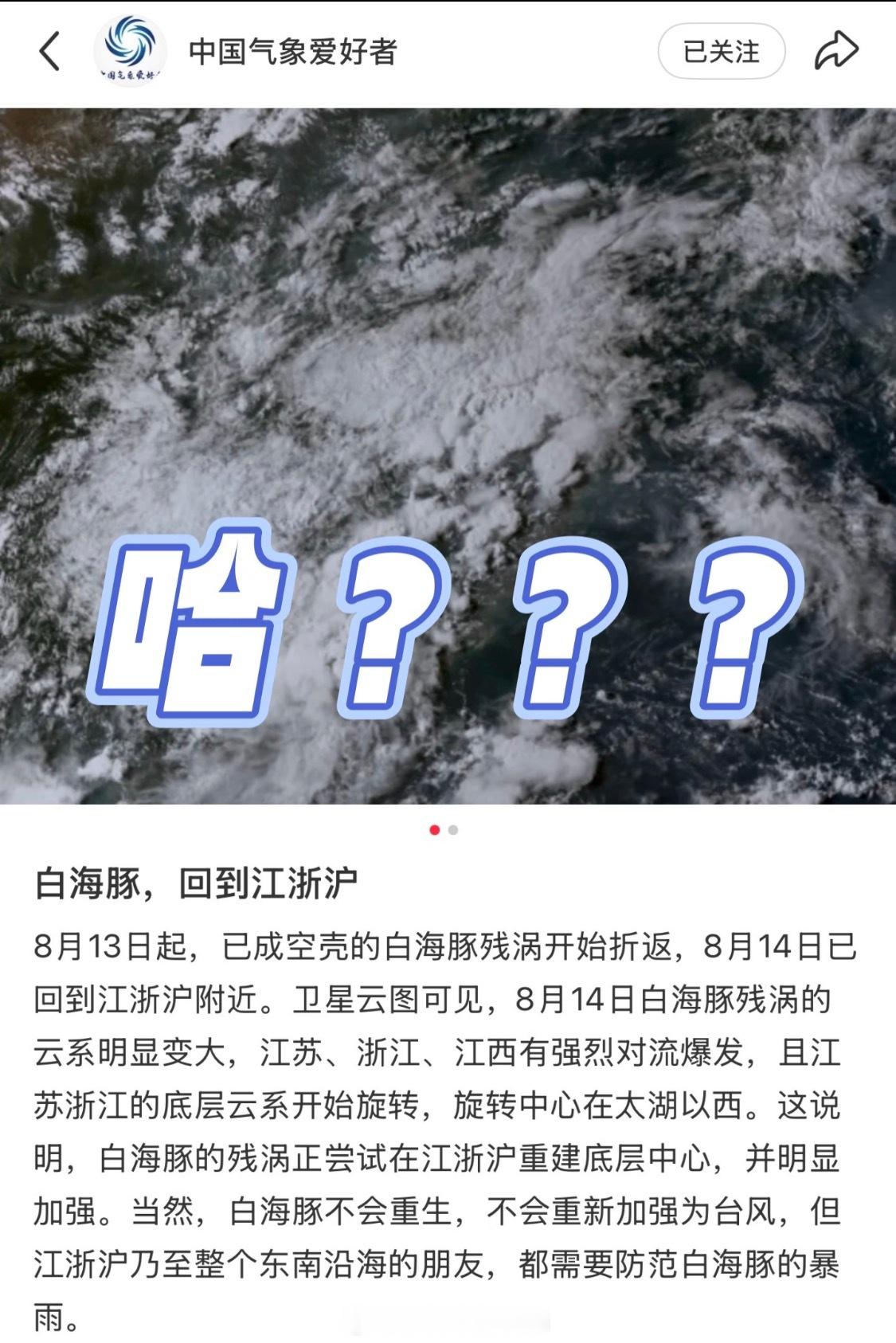 啊？不是，你神经啊……台风还有回魂夜吗？啊啊啊？白海豚它拖着残破的躯体又回来了。