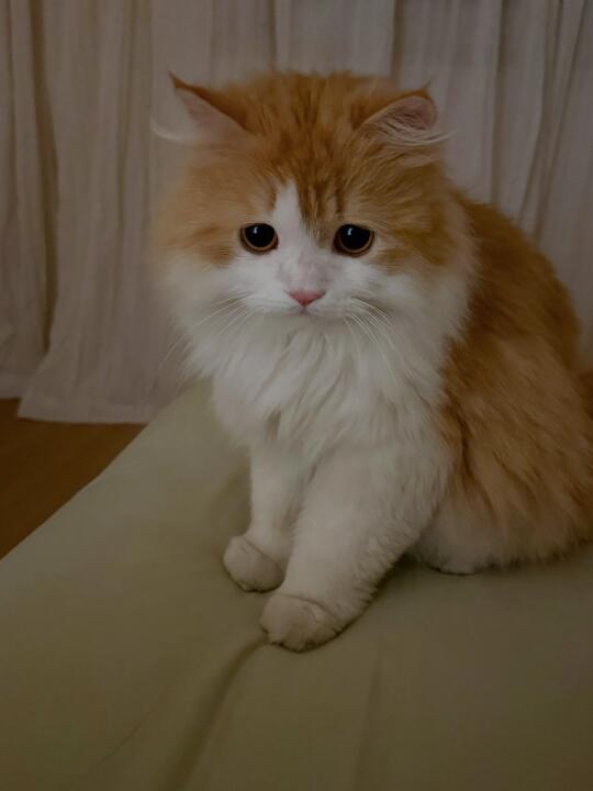 人 有什么伤心树可以和咪嗦嗦