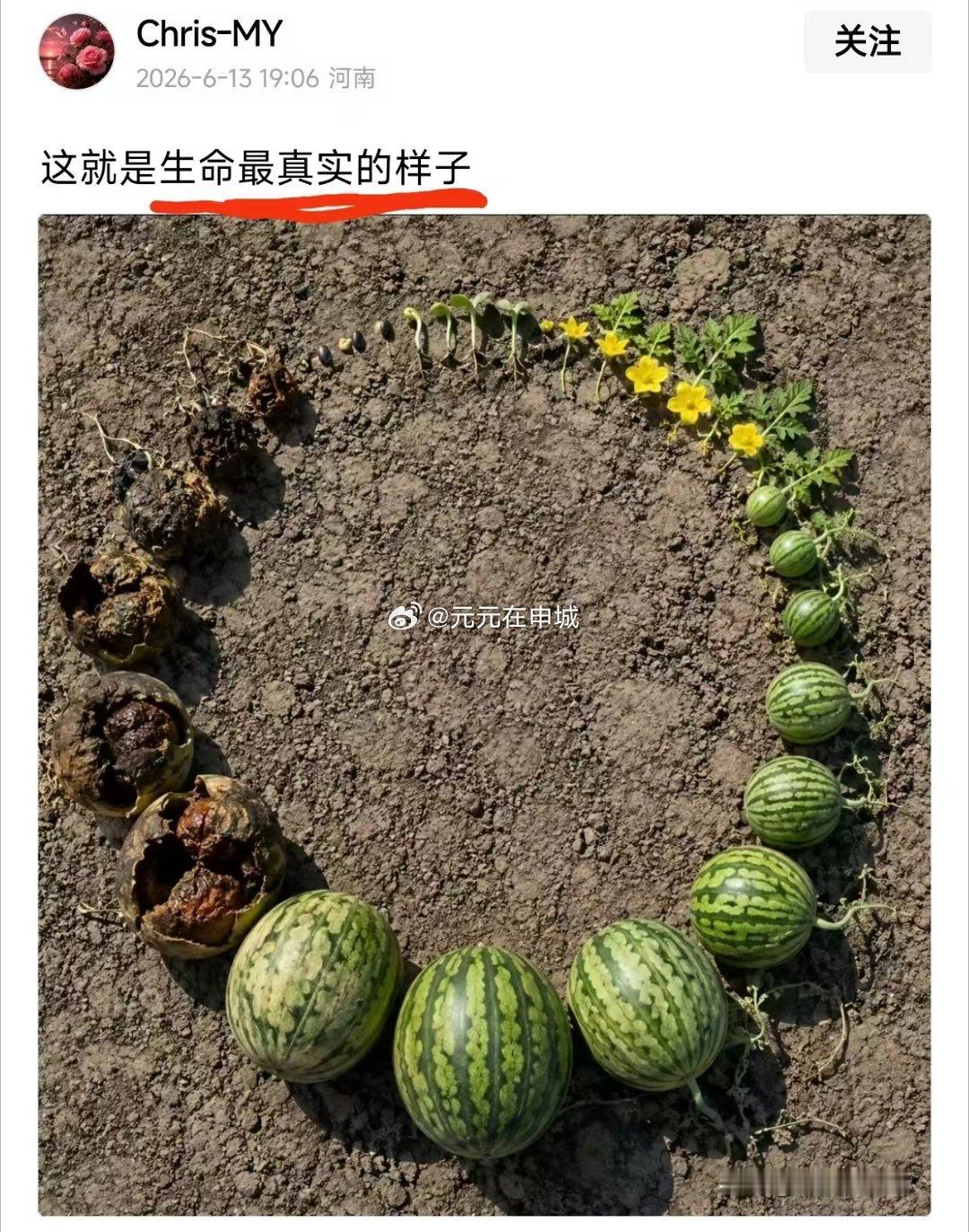 周而复始的生命力 