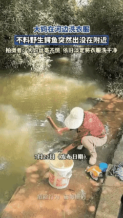 大妈胆子挺大的啊