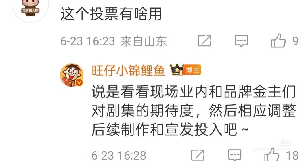 品牌金主跟业内的投票，问题是能代表观众吗关键是资本没有能力判断谁是有能力做好剧的