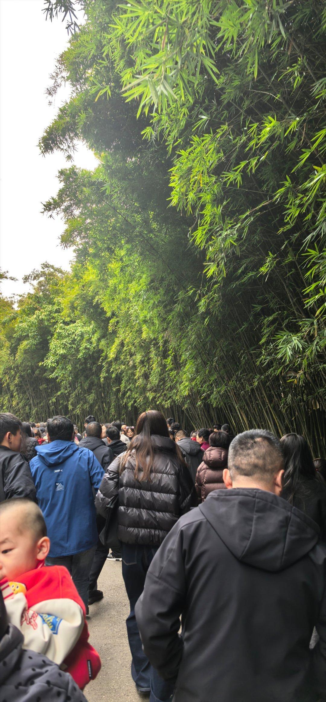 大年初一机票价格腰斩过年不适合出来玩，机票降价就是骗我们出来玩人挤人呀有木有 