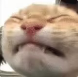 我补药考试 