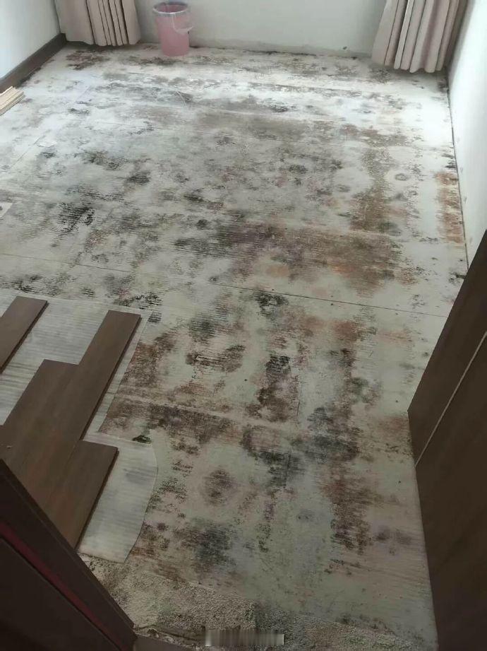 百万精装房变霉菌房3岁孩子查出肺炎竟然是保利地产的项目，房地产不好，也不能这样糊