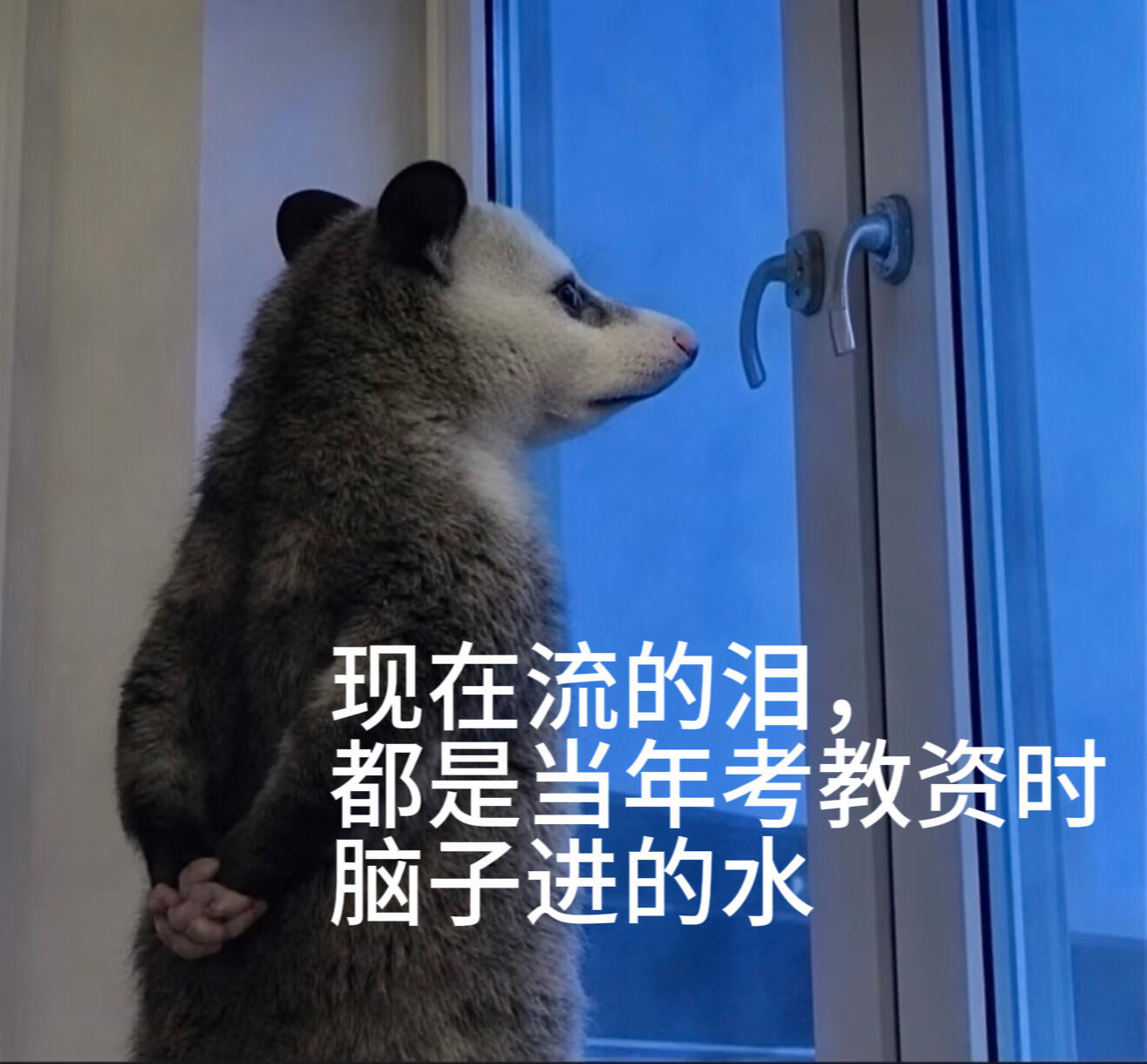 心好累…… 