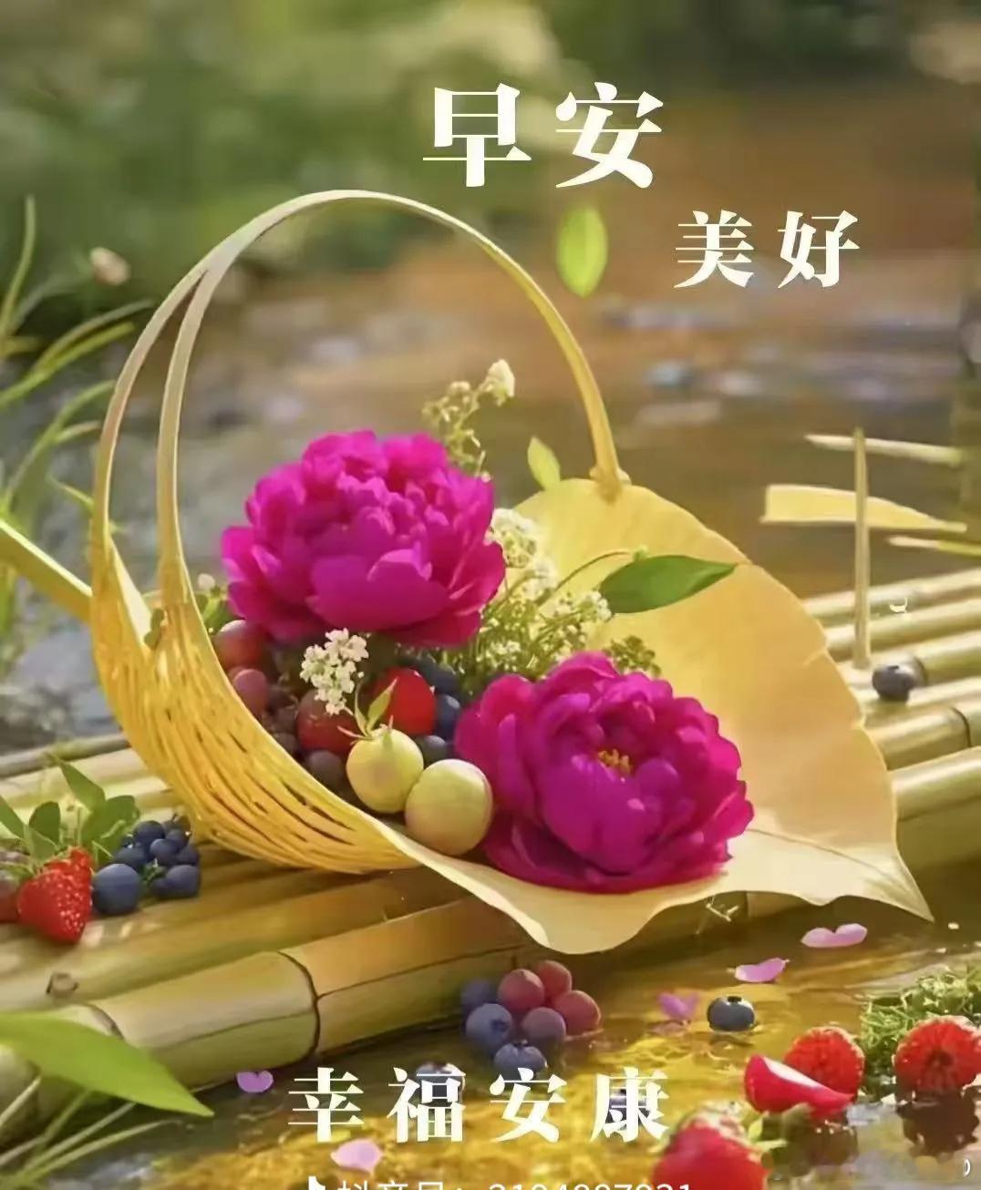 早安 ♡♡早安，愿你拥抱每一个清晨，珍惜每一刻时光。 