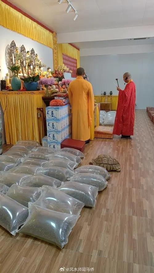 持续放生的人能得到无限福报，这几种果报,你知道几个呢?

你的生命，正在一天天变