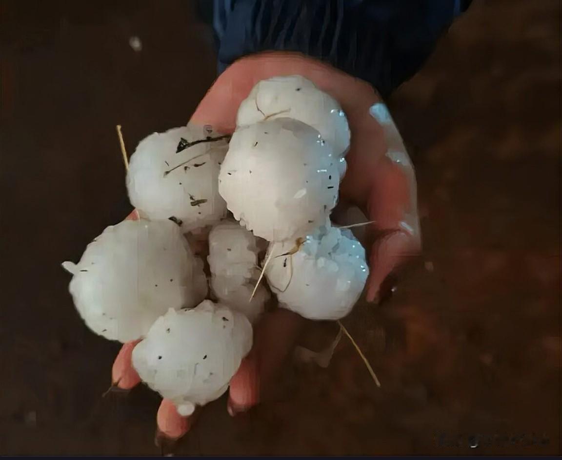 鸡蛋大的冰雹突袭昆明，居民家中竟需戴头盔避险，这场极端天气带来了哪些惊人破坏？