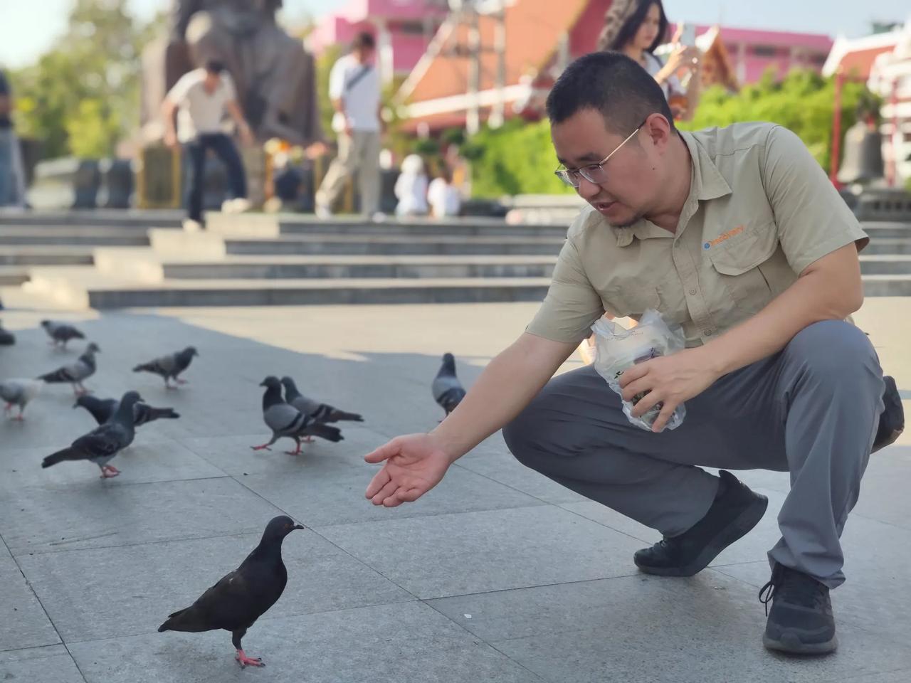 在泰国曼谷街头喂完鸽子，结束东南亚的旅行，有相似有不同，异域风情值得经常过来打卡