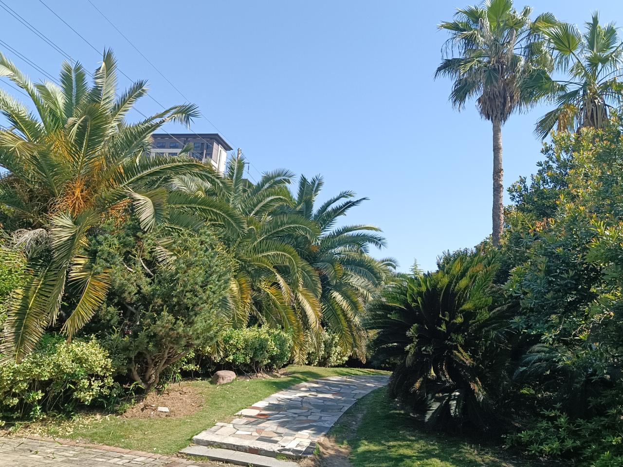 假日最后一天休息，起来围着小区跑了一圈，小人物面对小风景的小快乐。。。