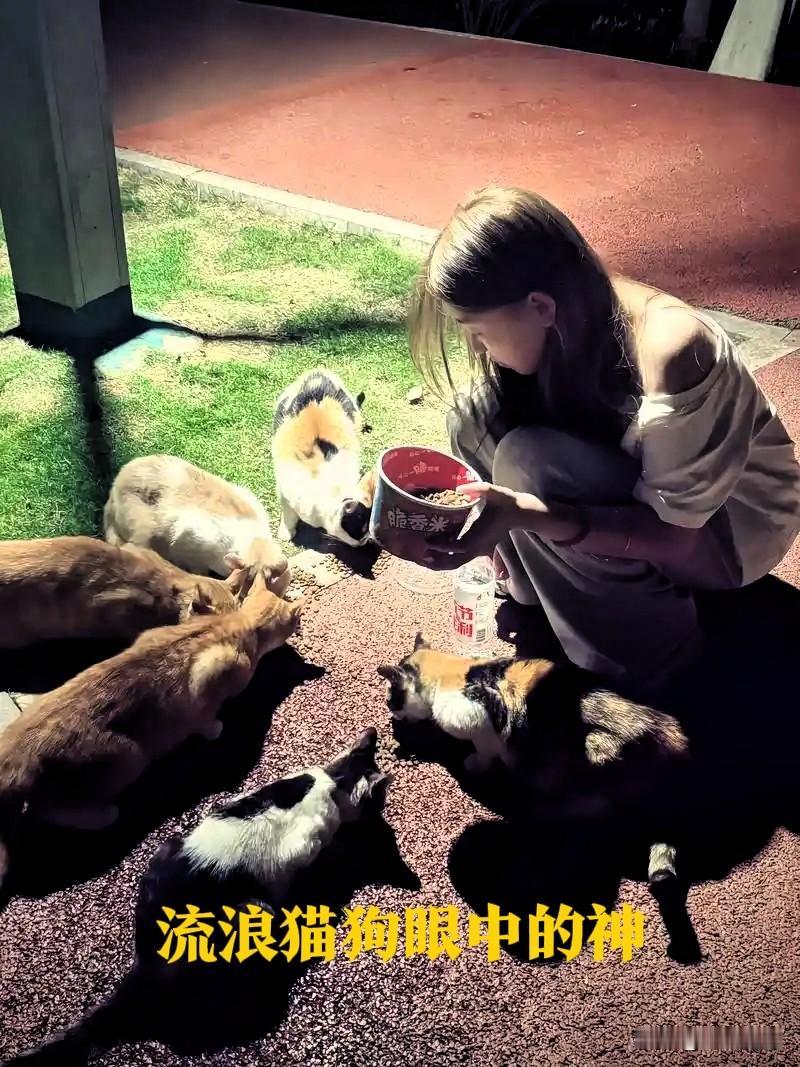 口袋里的温柔！
《散文》


你总记得在包里多塞一小袋猫粮，哪怕今天要赶最晚的班