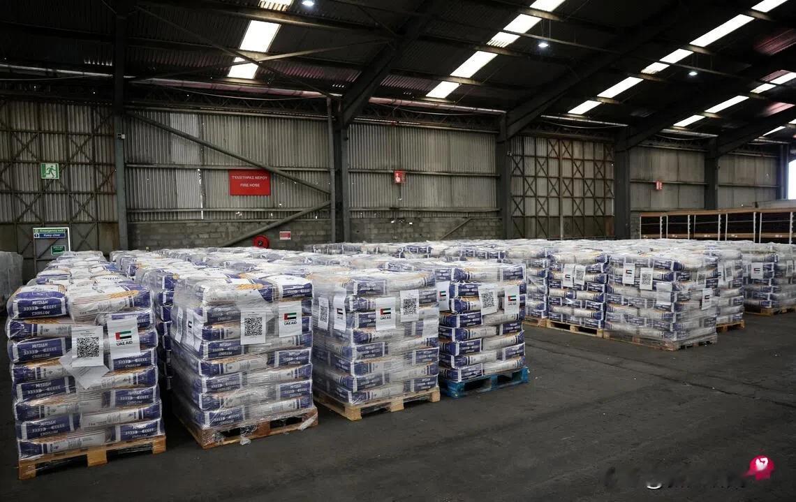 两个人 一百个心眼子。 指框架仍不明朗 阿联酋暂不参与加沙国际稳定部队
阿联酋表