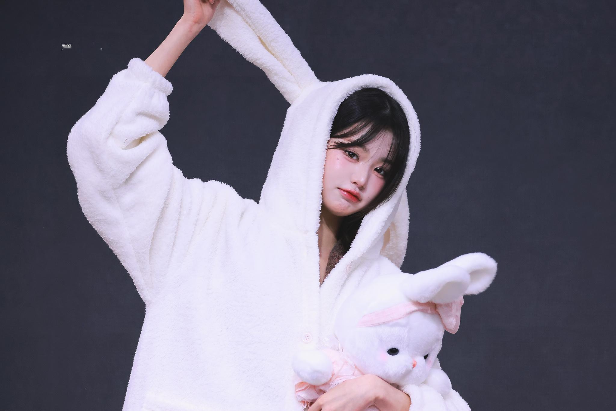 任命为新的电脑壁纸🐰💕🐰©️want__wy  