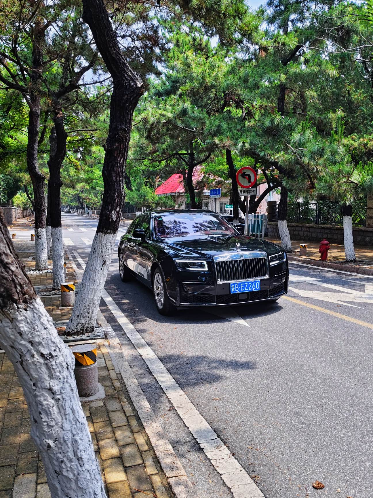 古斯特＋晴天的八大关=绝配