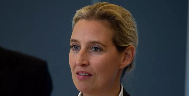 魏德尔说了句大实话！她表示，德国政府应该拒绝接收来自摩洛哥的非法移民。她强调，看
