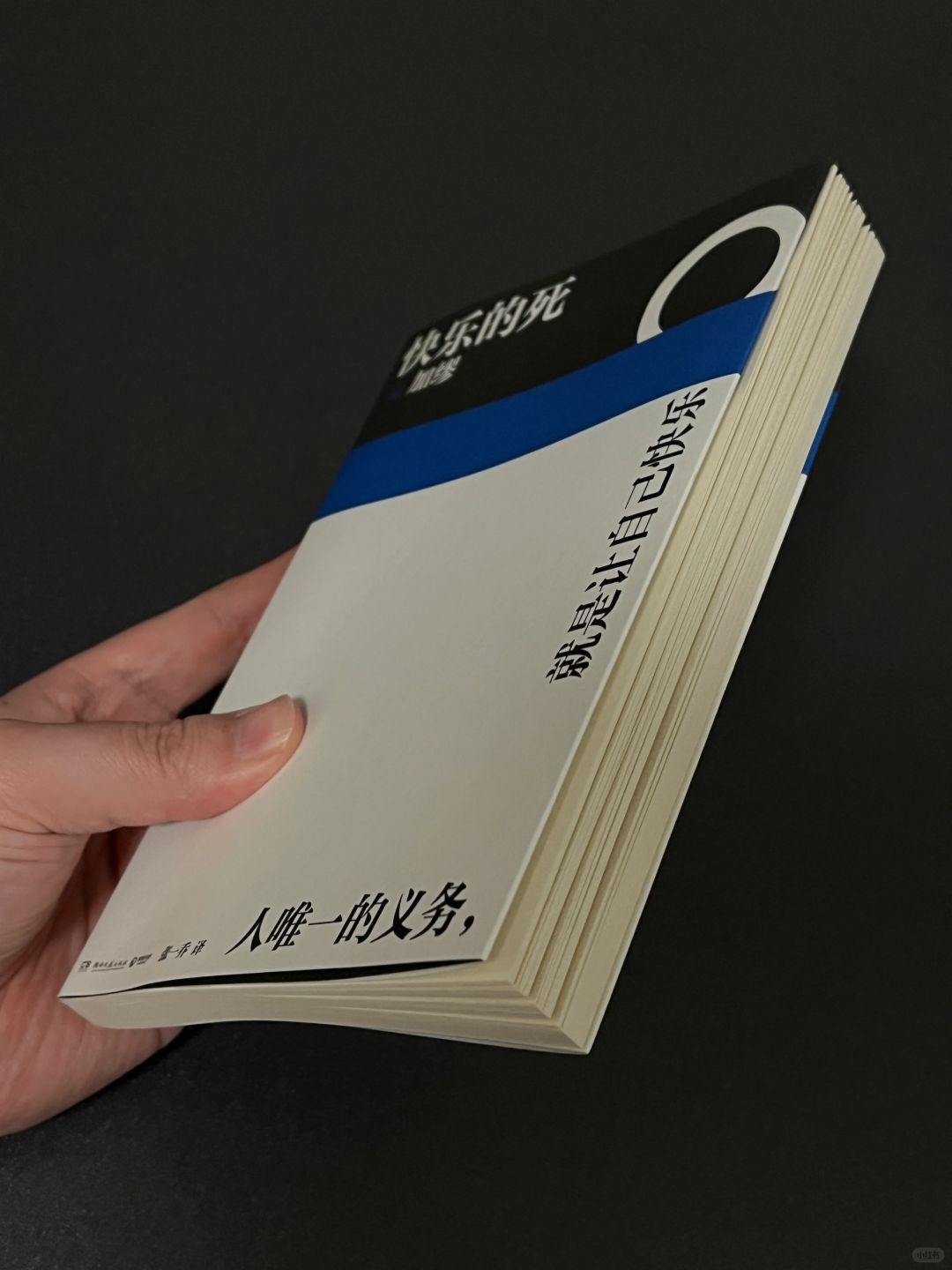 i人的文字救赎｜永远会被加缪的文字所震撼！