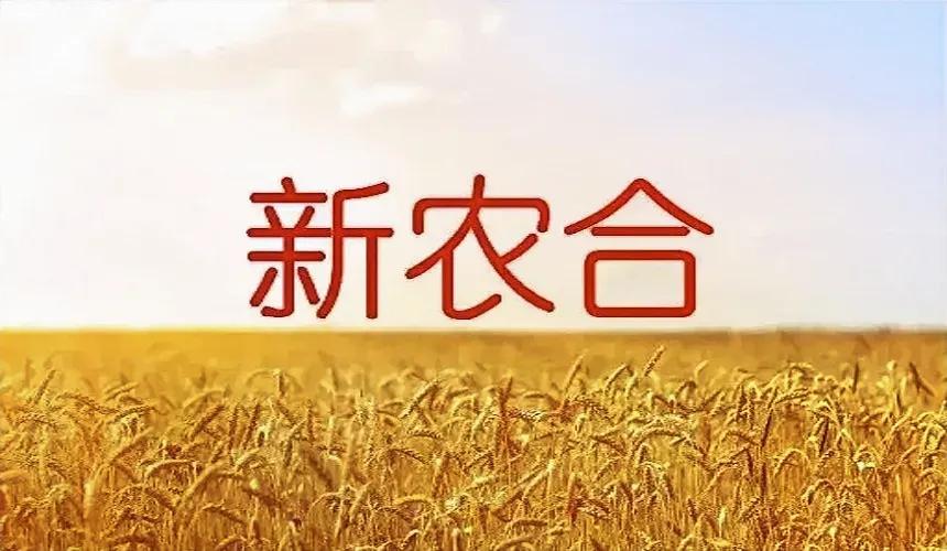 有些人错误地认为新农合与交公粮是一样的，甚至催促农民尽快缴纳。但实际上，新农合是