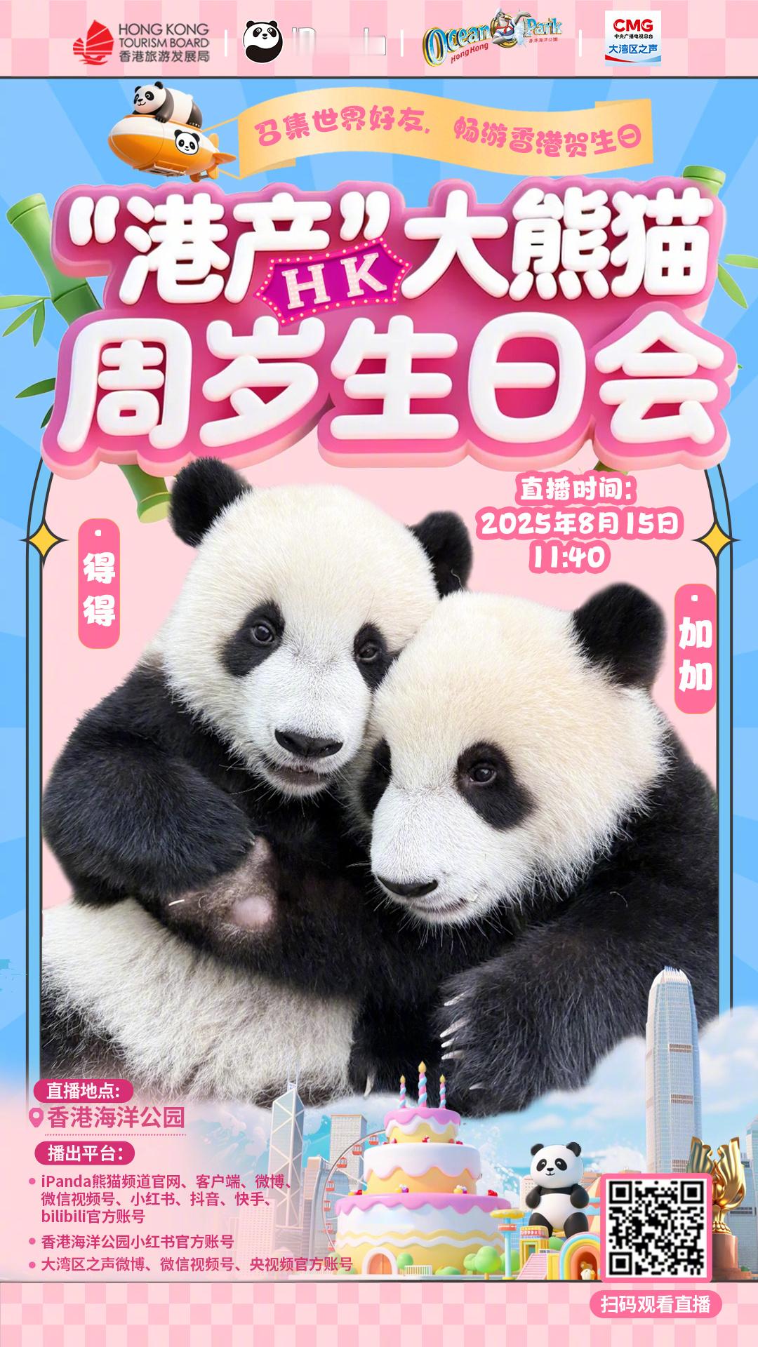 【直播预告：港有囍事大熊猫龙凤胎1岁啦[么么哒]】所有人，听我“港”！香港顶流熊