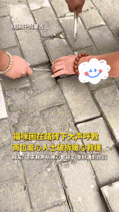 [微风]“这就是缘分！”8月8日，内蒙古，男子出门逛街，走着走着，突然从脚底传来