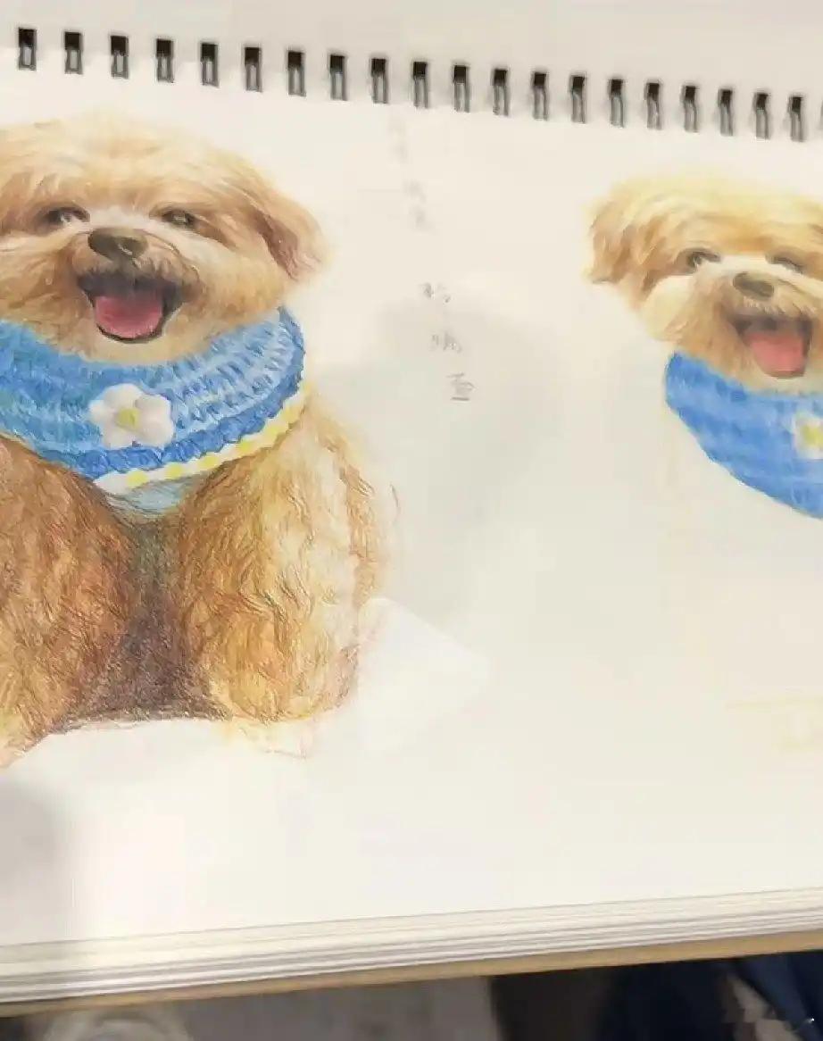 汪小菲陪玥儿上美术课流了满头汗，玥儿画得还真不错 ​​​