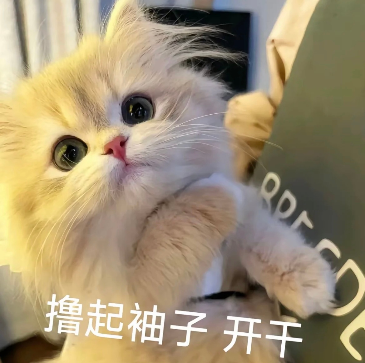 两件事来做一下❗️1⃣️一博无名宣传博多瓶多点，百万卷拿下2⃣️签到发帖超lik