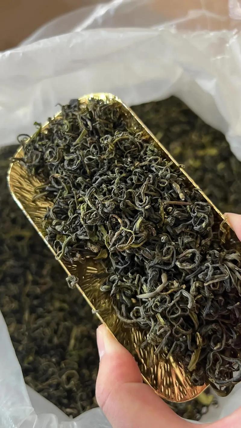 广东深圳，男子应聘到一家公司，职务为总经理，每月薪水10万元，隔月15号发上月工