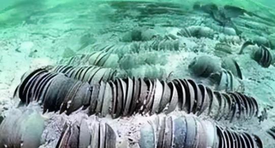 1998年前后，德国方面一次性拿出约7万件中国文物，开出高达数亿美元的报价，而就