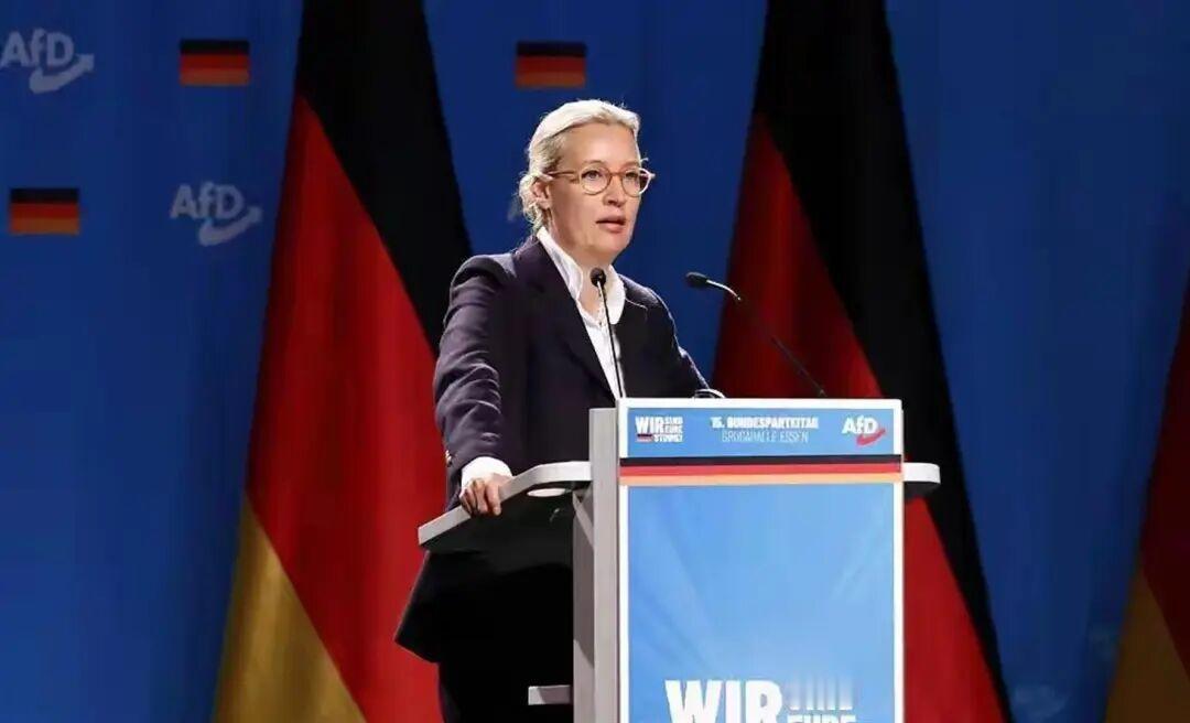 “把军舰开到中国家门口，德国能得到什么？”德国选择党主席魏德尔把问题挑明：凭什么