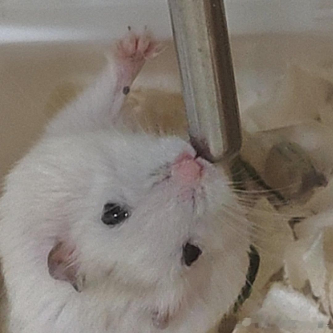 开花好可爱…… 