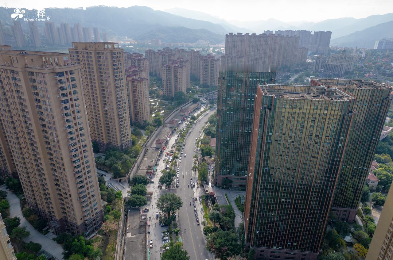 国人为什么不敢消费？
我也想消费，想换个电车，想换个沙发，各种高端花盆也想整一整