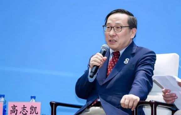 高志凯连线蔡正元，对方依旧拿岛内民意说事讨论统一议题，高志凯当即直言回击。就算2