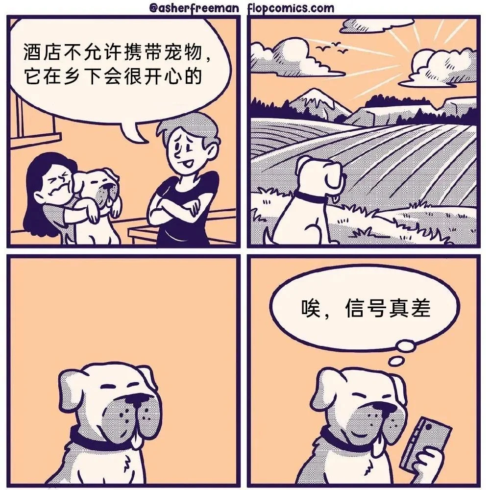 每日一图8.20