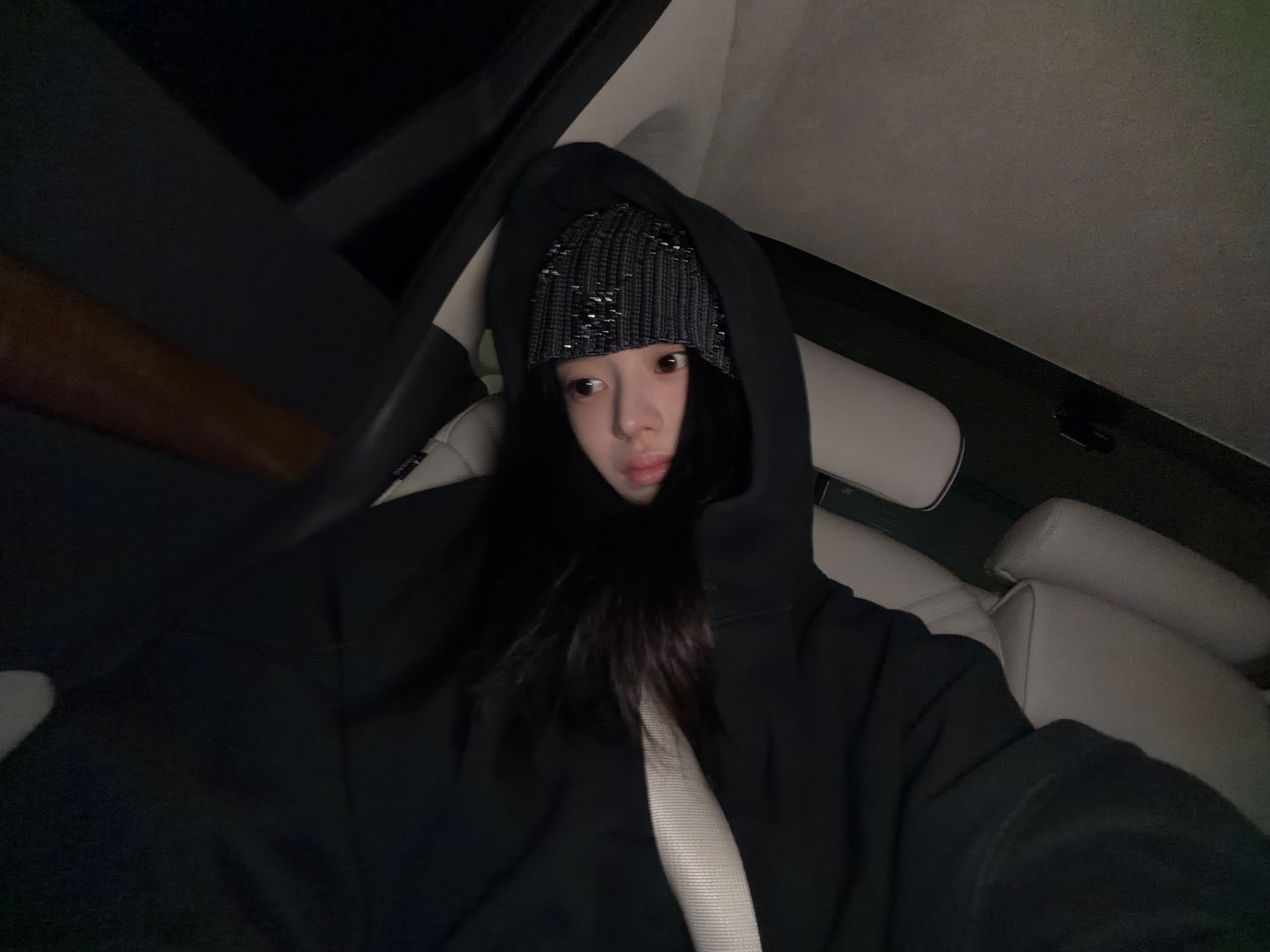 🐰💬: 生存报告!!! 